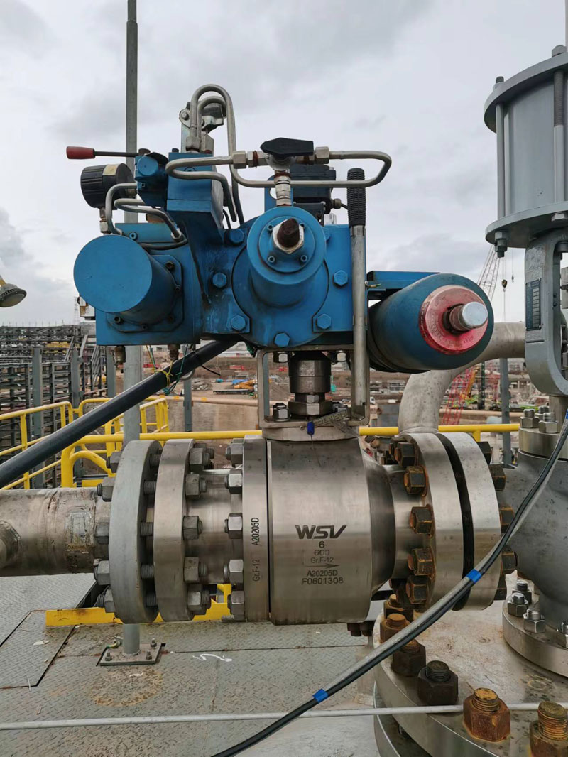 wsv-valve7.jpg