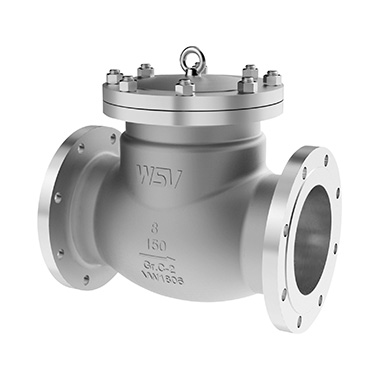 Check Valves