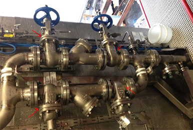 Offshore Oil & Gas Valves