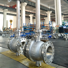 Stainless Steel Ball Valves