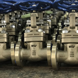 NAB C95800 Gate Valves