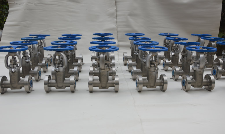 Nickel Gate Valves Cost
