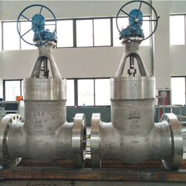 Stainless Steel Gate Valves