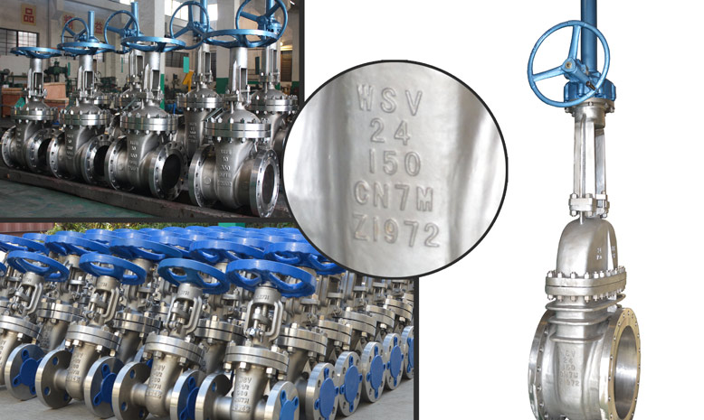 Super Austenitic Gate Valves