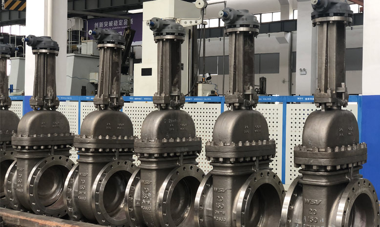 Super Austenitic Gate Valves