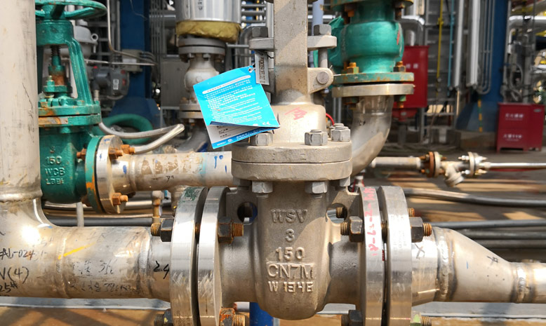 Super Austenitic Gate Valves