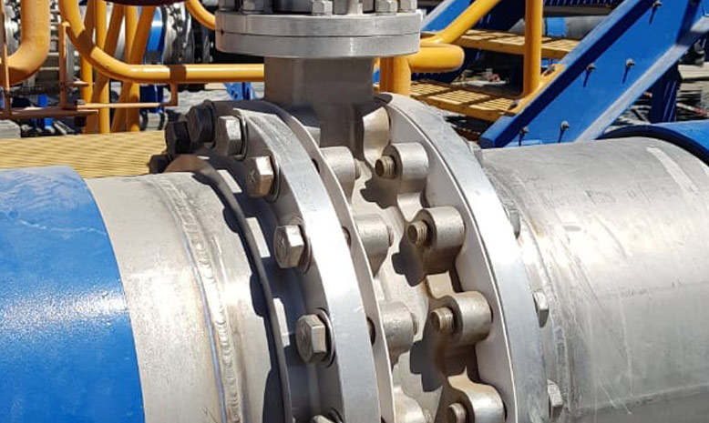 Nickel Butterfly Valves