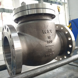 Duplex Check Valves