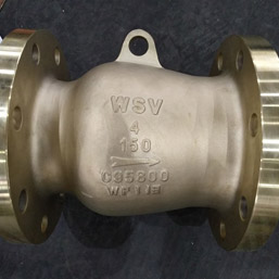 NAB C95800 Check Valves