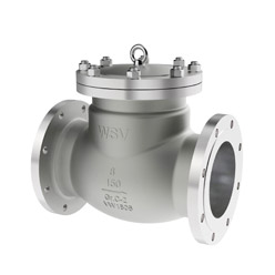 Titanium Check Valves