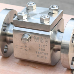 Zirconium Valves