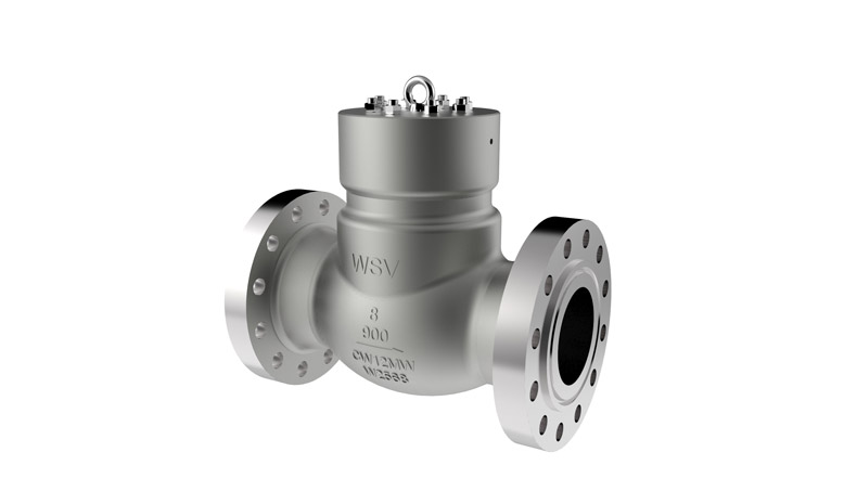 Hastelloy Check Valves