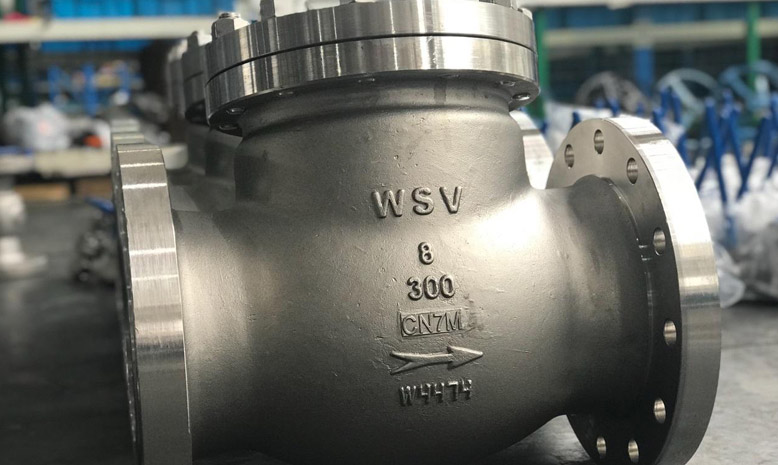 Super Austenitic Check Valves