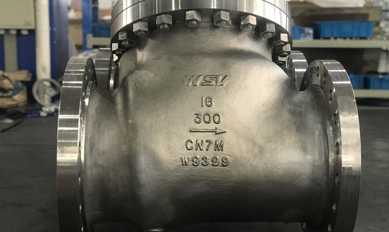 Super Austenitic Check Valves