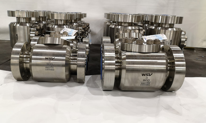 Zirconium Check Valves