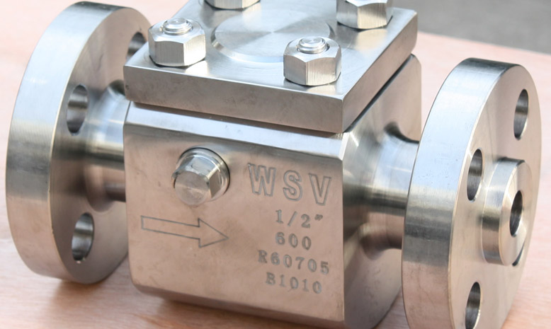 Zirconium Check Valves