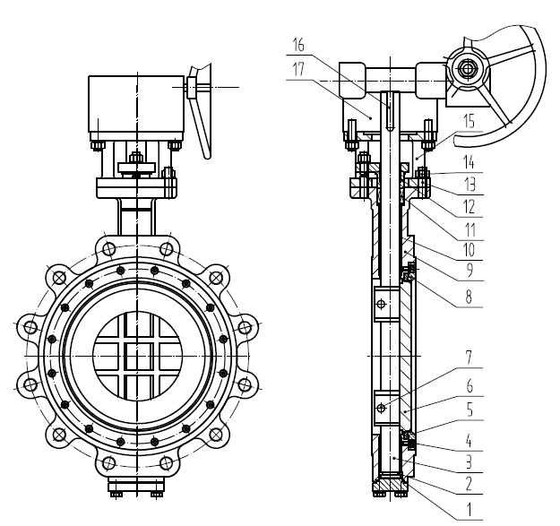 Duplex Butterfly Valves Structure