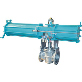 Control Plug Valves