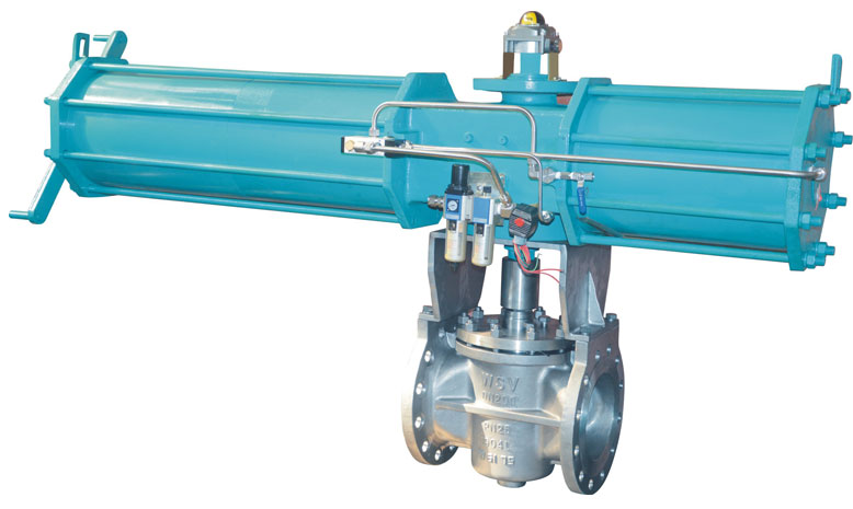 Plug Control Valve
