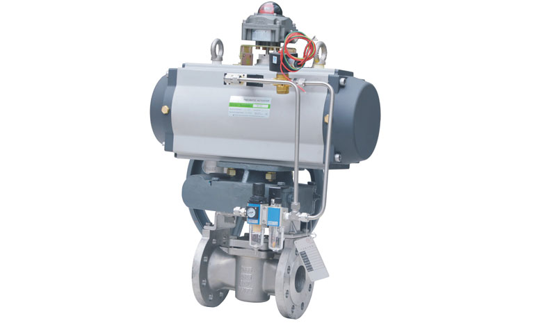 Rotary Plug Control Valve
