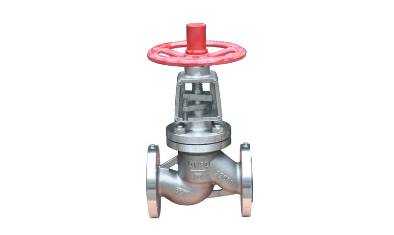 Super Austenitic Globe Valves