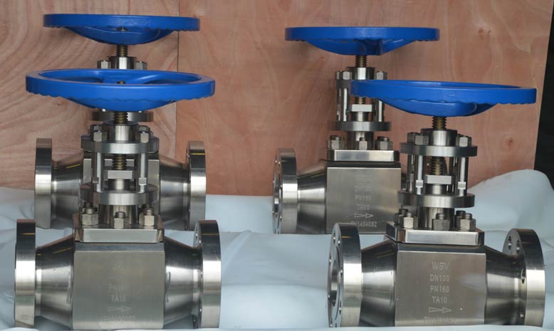 Titanium Globe Valves