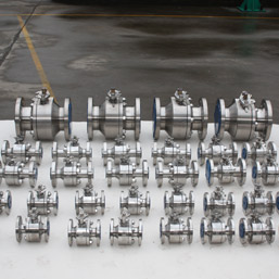 Tantalum Valves