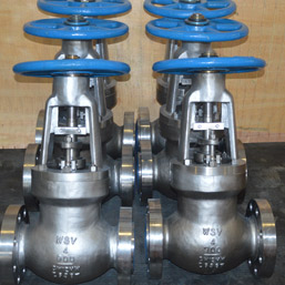 Hastelloy Globe Valves