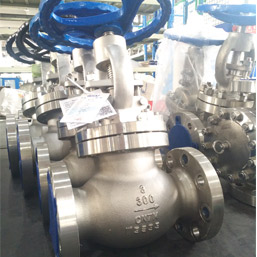 Super Austenitic Globe Valves