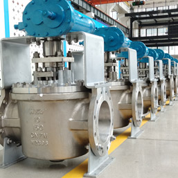 Super Austenitic Plug Valves