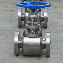 Zirconium Globe Valves