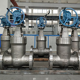 Hastelloy Gate Valves