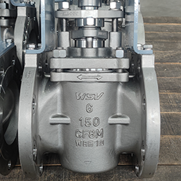 Stainless Steel Plug Valves