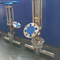 Nickel Discharge Valves