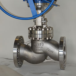 Duplex Globe Valves