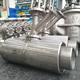 Hastelloy Discharge Valves